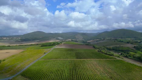 Sanfte-Luftaufnahme-Von-Oben-Flug-Meditative-LandschaftToskana-Weinfeld-Tal-Italien-Herbst