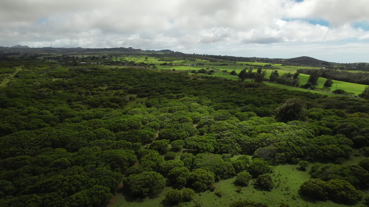 volando sobre la exuberante área verde y salvaje de hawi en la gran isla de hawaii con nubes pasajeras y luz cambiante