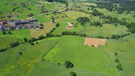 Vista-Aérea-De-Bosques-Y-Campos-Verdes