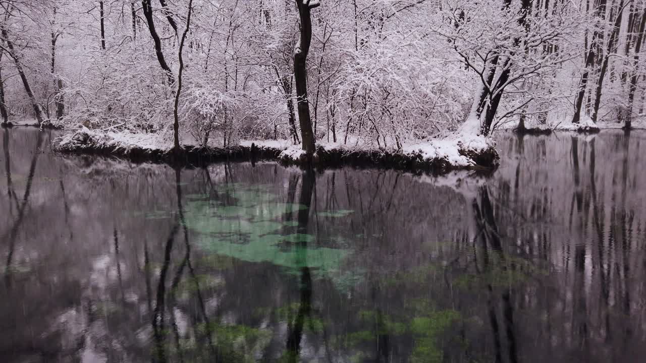 겨울 동안 얼어붙지 않는 담수원 - 폴란드의 유명한 블루 스프링스 자연 보호 구역