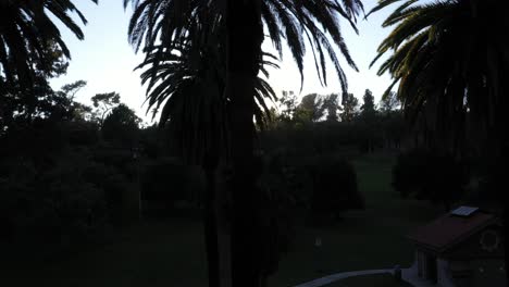 Drone-shot-beginning-at-picnic-area-of-park-panning-up-to-multiple-palm-trees-during-golden-sunset-hour-with-sun-flare-and-clear-blue-skies-in-Los-Angeles,-California-park