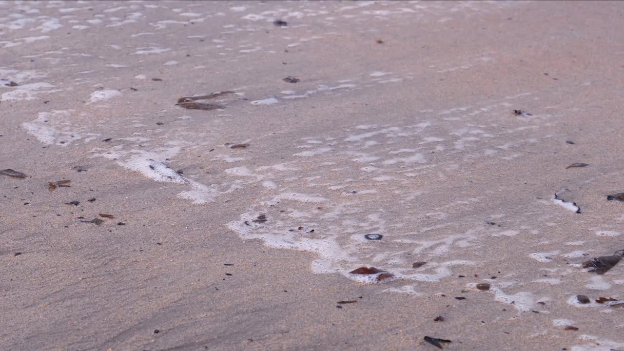 파도가 부드럽게 해안에 도착