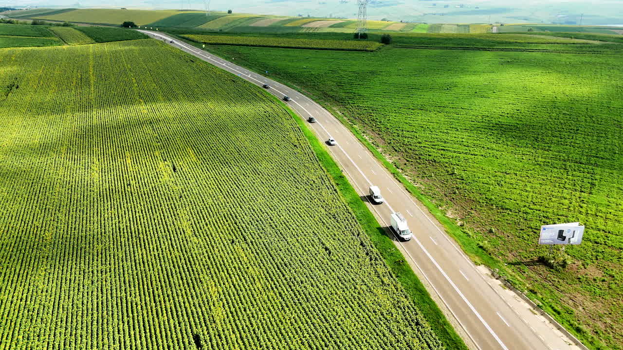 Lush green fields beside a winding road. A winding road runs through expansive green fields under a clear sky, highlighting rural beauty and tranquility