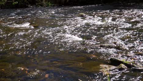 Agua-Dulce-Que-Fluye-Por-El-Río-Teign-En-El-Parque-Nacional-De-Dartmoor