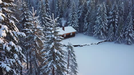 cabaña de invierno nevada en el bosque