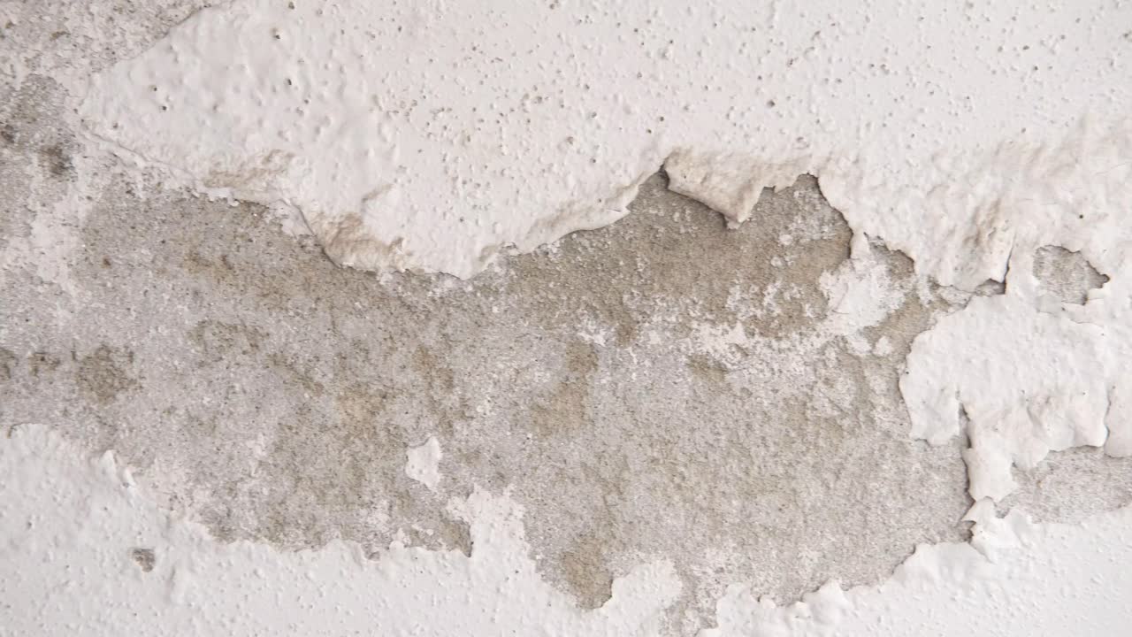 la pintura se desprende de una pared