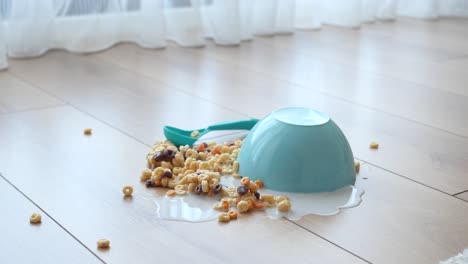 cuenco de cereales derramado en el suelo