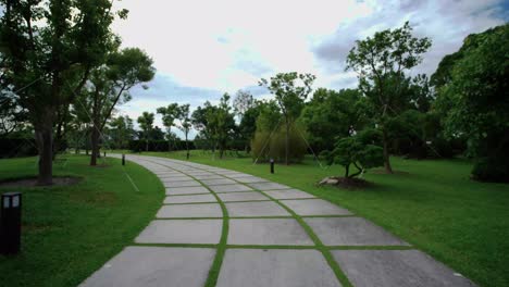 camino, parque, jardín, fondo