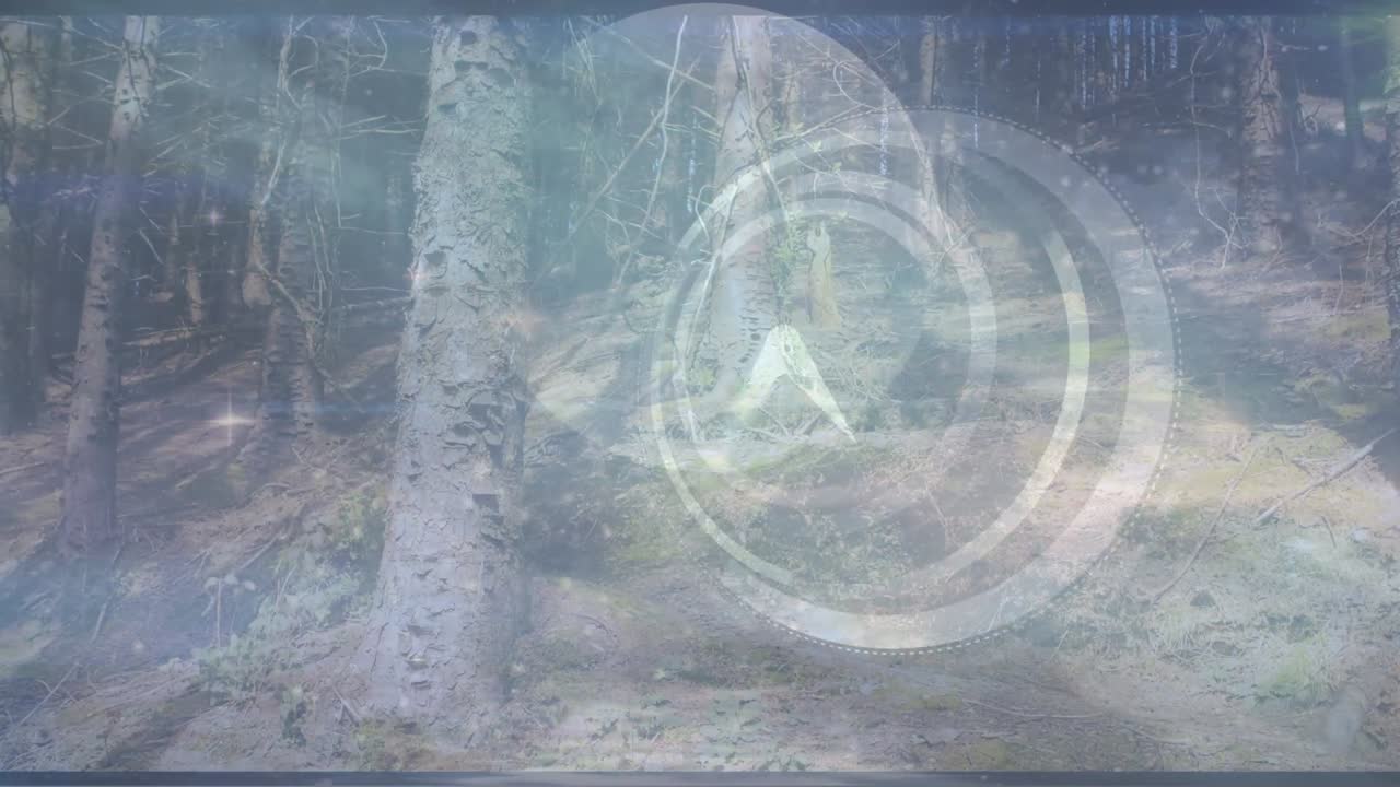 animación de un reloj que se mueve sobre el paisaje forestal