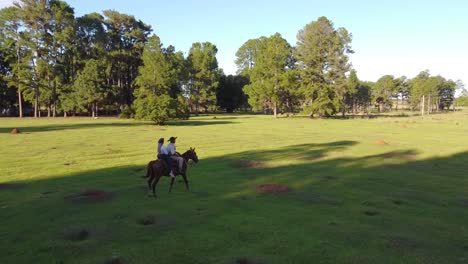 romantic afternoon horse ride as couple set off at sunset through the forest trees