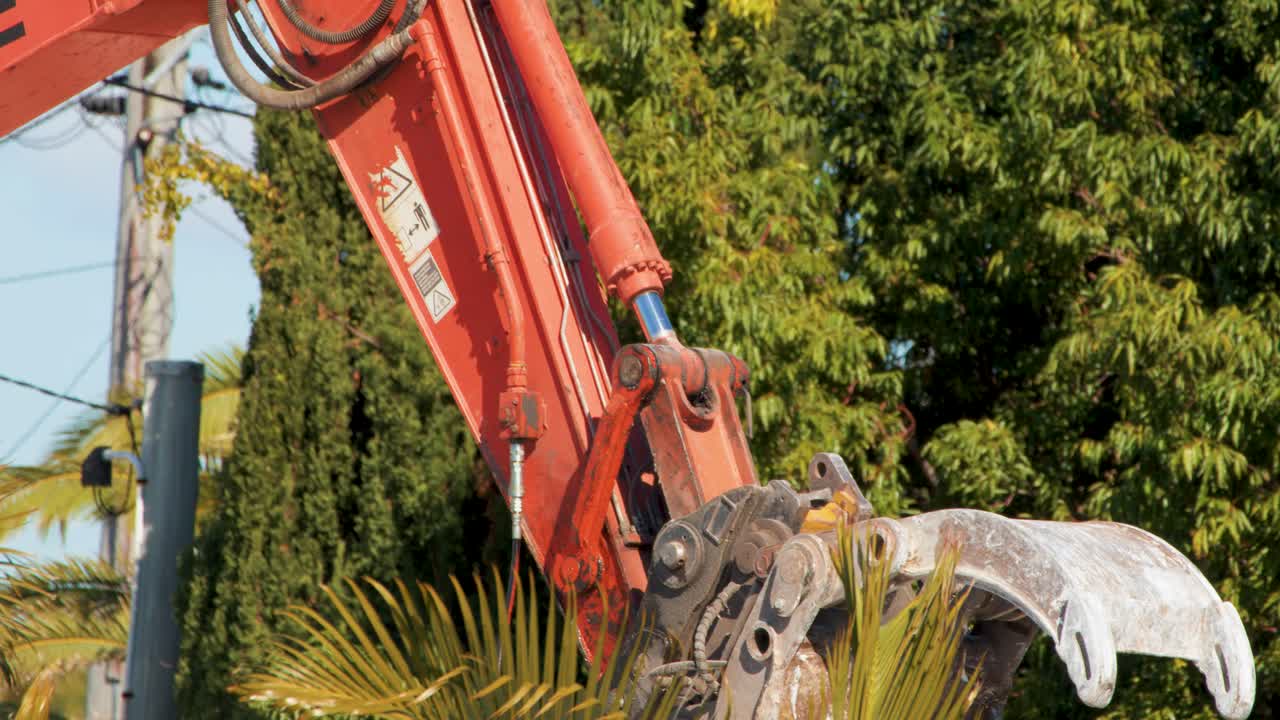 An orange excavator uses its claw attachment to remove palm plants in a sunny, outdoor construction area with dense greenery and natural daylight