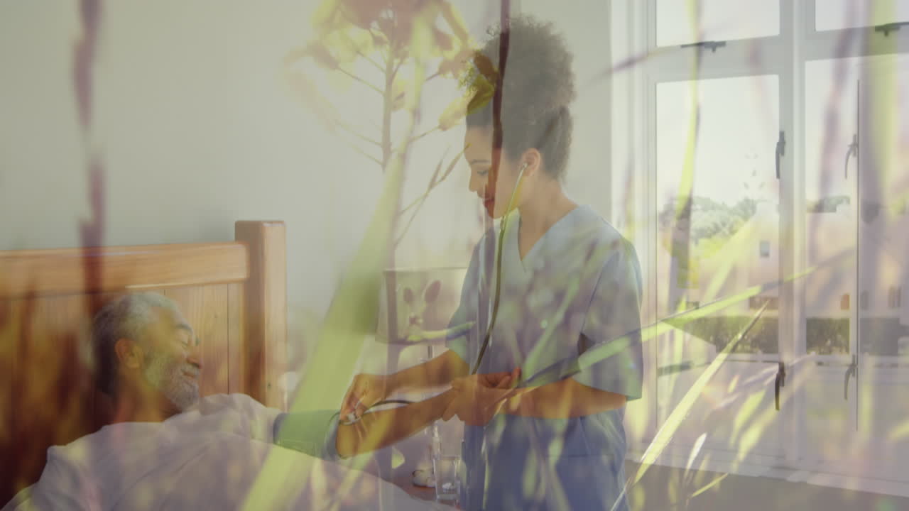 trabajadora de la salud que trata a un paciente masculino contra la hierba que se mueve en el fondo