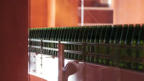 beer production line at factory. close up of conveyor belt with alcohol bottles