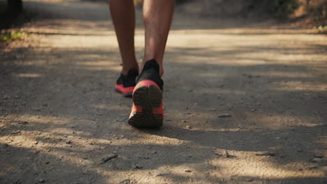 person walking on a trail