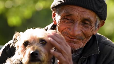 a heartwarming moment: an elderly man shares an unbreakable bond with his beloved dog, showcasing the purest affection and companionship in nature
