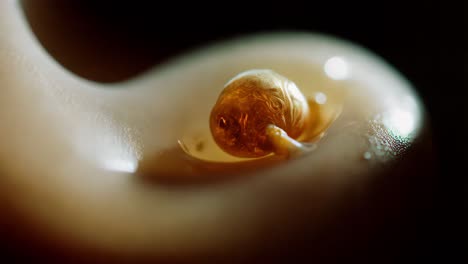 close-up of melted candle wax