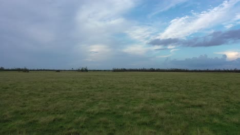 Grünes-Feld-Irgendwo-In-Louisiana-Nach-Dem-Hurrikan-Laura