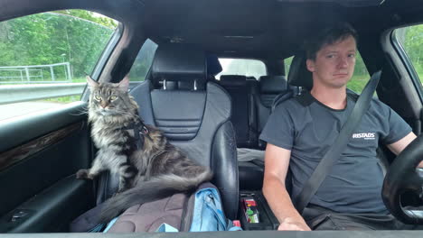 Mann-Vlogs-Beim-Autofahren-Mit-Katze-Auf-Dem-Beifahrersitz