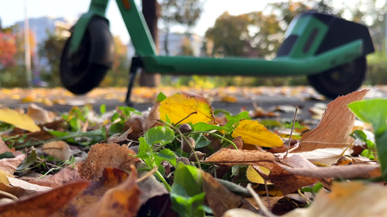 Bright autumn leaves rest gently on the ground, with a soft-focus green scooter in the background, blending urban life and nature in a peaceful scene