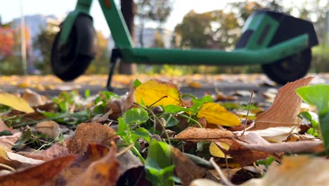 bright autumn leaves rest gently on the ground, with a soft-focus green scooter in the background, blending urban life and nature in a peaceful scene