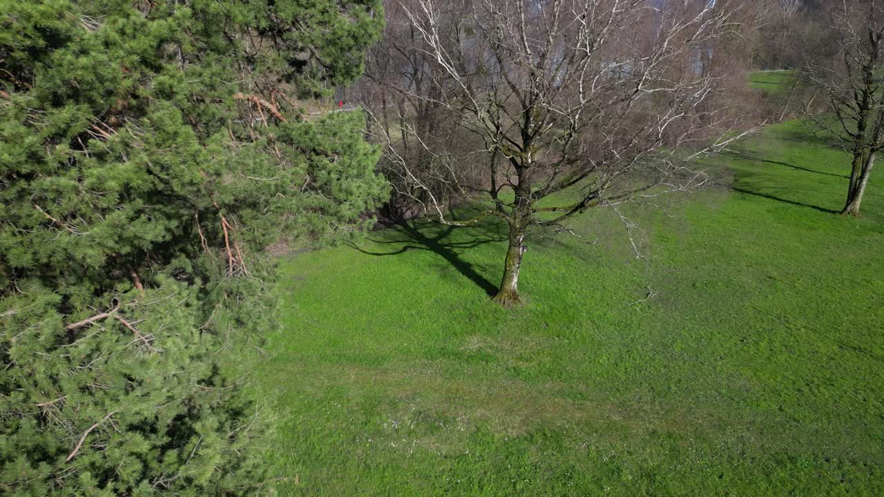 Drone clip moving through landscaped gardens showing statement trees and lawn