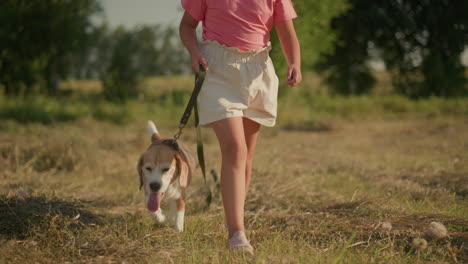 niña en camiseta rosa caminando felizmente con su perro en la correa a través de tierras de cultivo soleadas, la escena muestra el vínculo entre la niña y la mascota, exploración al aire libre