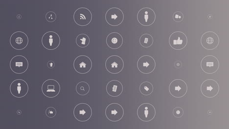 Motion-network-icons-on-simple-background-5