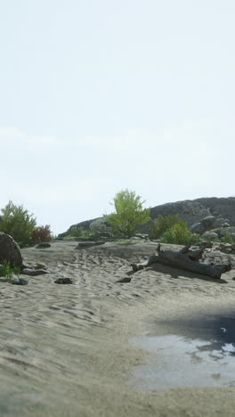 a peaceful beach scene with clear blue water, sand, and rocks