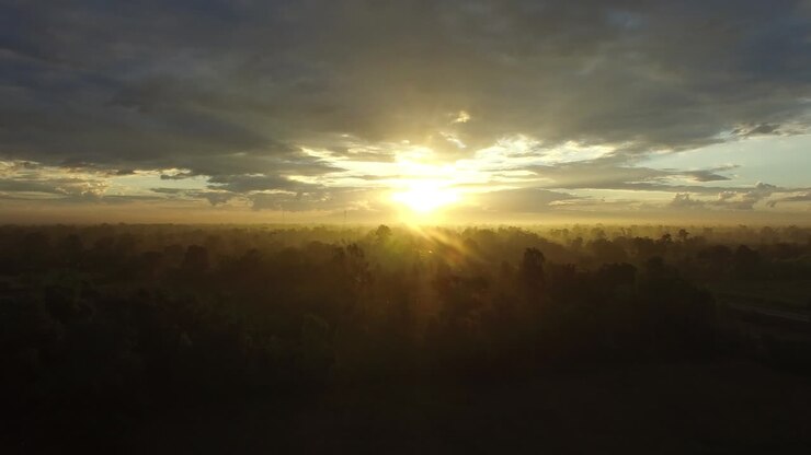 Sunrise Aerial Shot Forest and Fog Aerial at North of Thailand