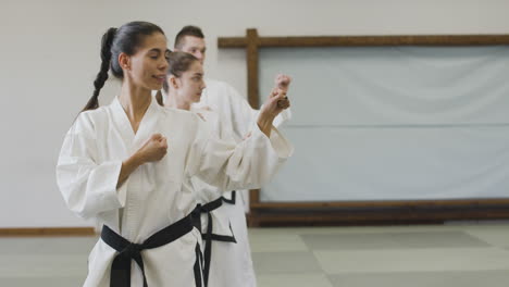 three martial artists practising indoors