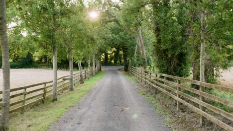 walking with a gimbal on a driveway or path to to an irish farm