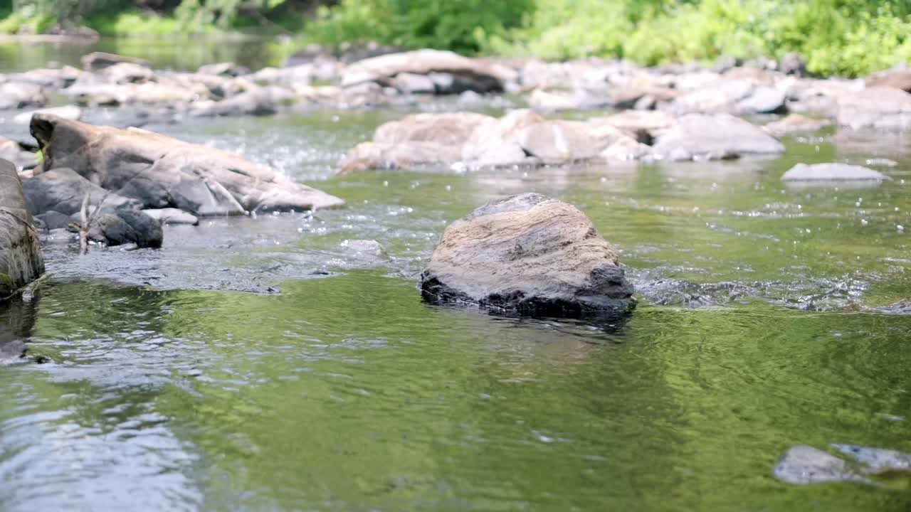 슬로우 모션으로 스트림의 와이드 샷