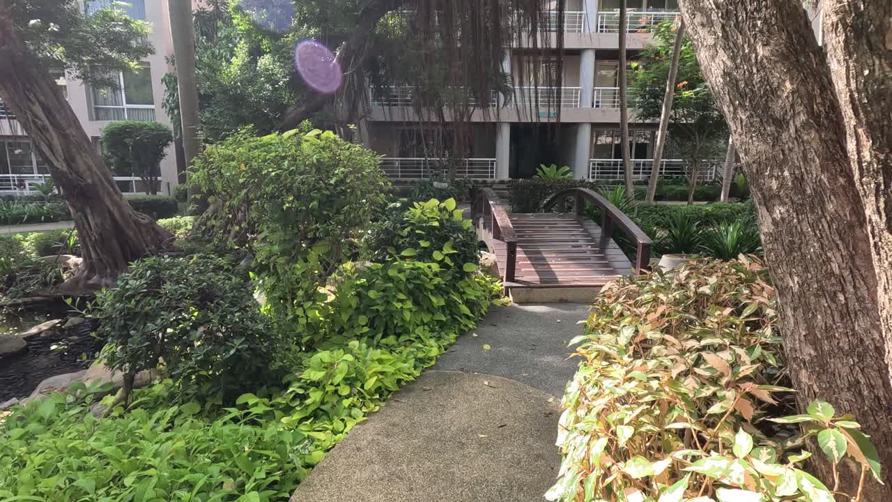 보라색 풍선이 조용한 정원 길을 가로질러 떠다닙니다.