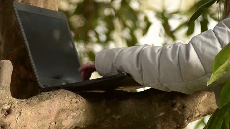 Tippen-Auf-Einem-Laptop-Im-Park