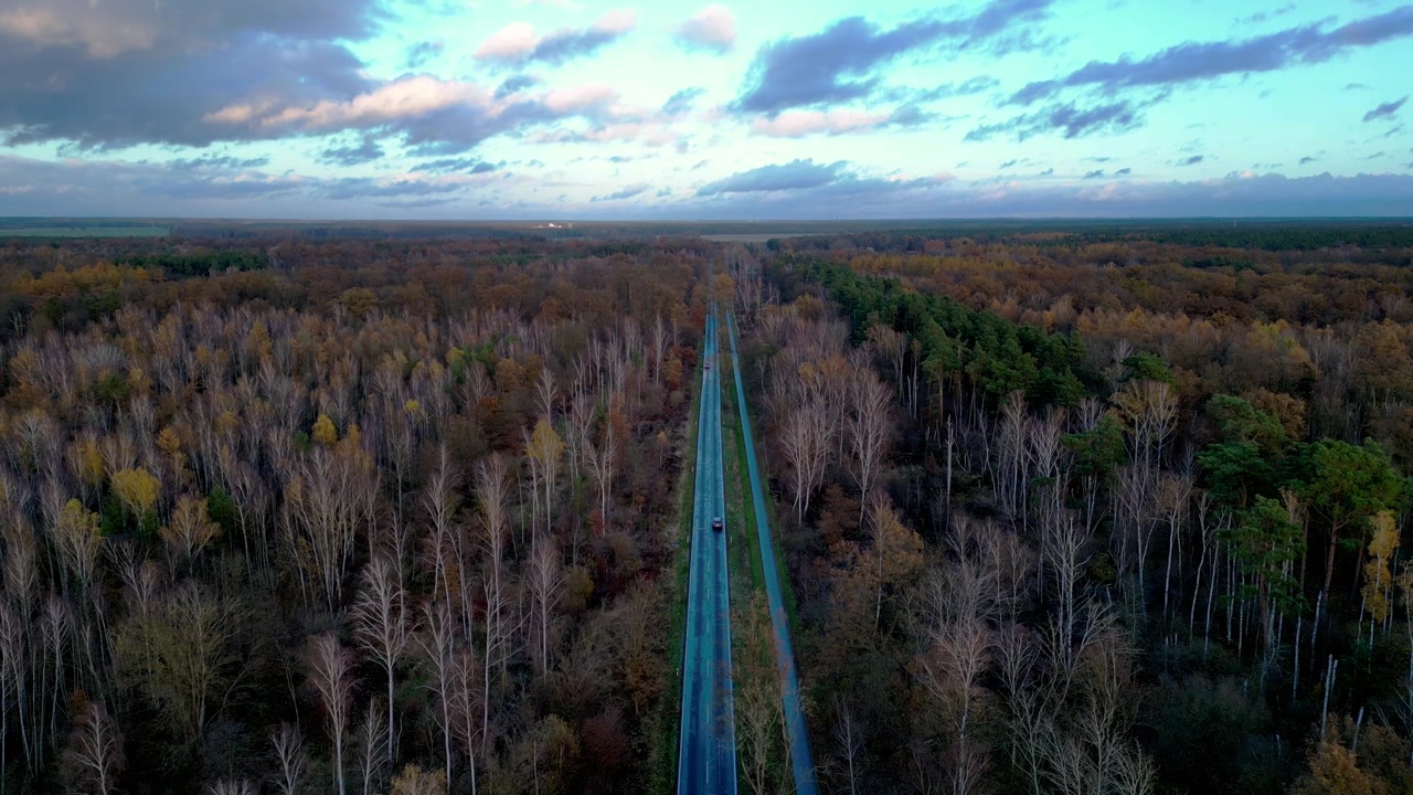 Biler kører på en vej gennem en efterårsskov i Brieselang, Brandenburg. Jævn luftbåren optagelse fra en statisk, svævende drone.