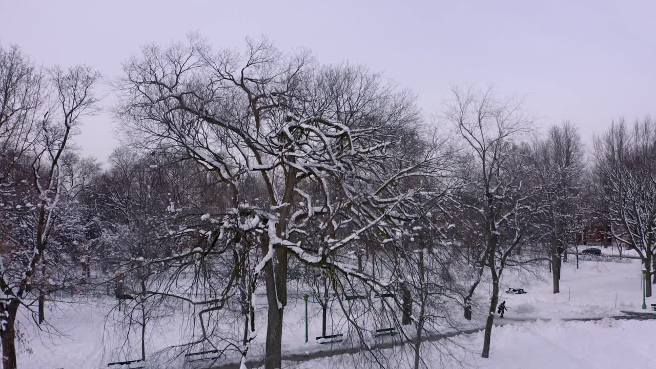 겨울에 공공 공원에서 움직이는 드론