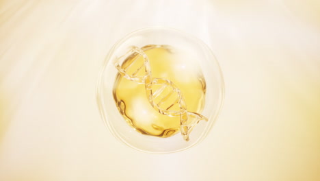 dna and golden liquid bubble, 3d rendering.