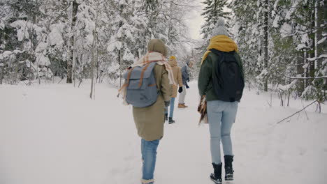 amigos haciendo senderismo en el bosque nevado.