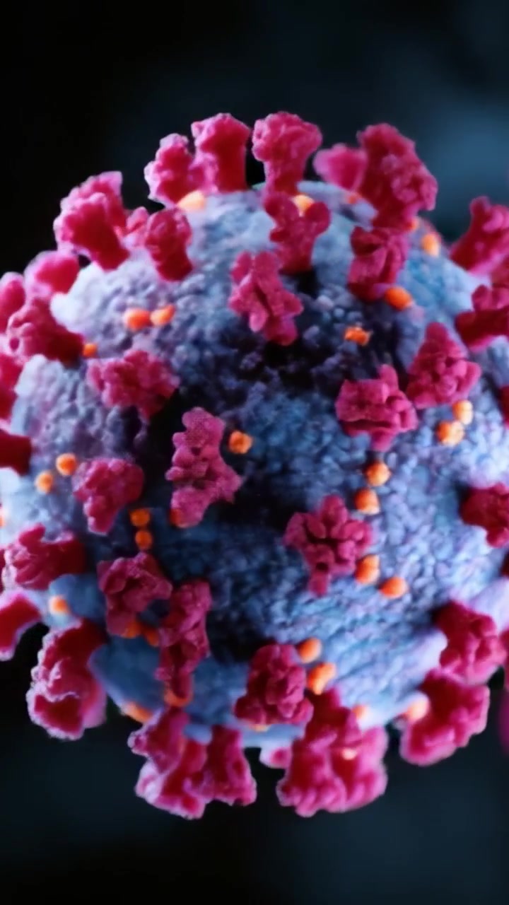 Vista microscopica di una struttura virale: visualizzazione dettagliata di un virus con spicole distinte e caratteristiche superficiali colorate, evidenziando la sua complessa morfologia.
