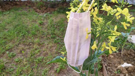 보호 마스크가 풀 위에 누워 있습니다.