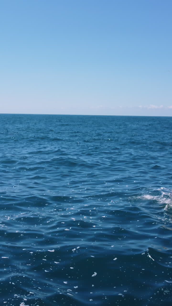 Ocean Views and Kayaking