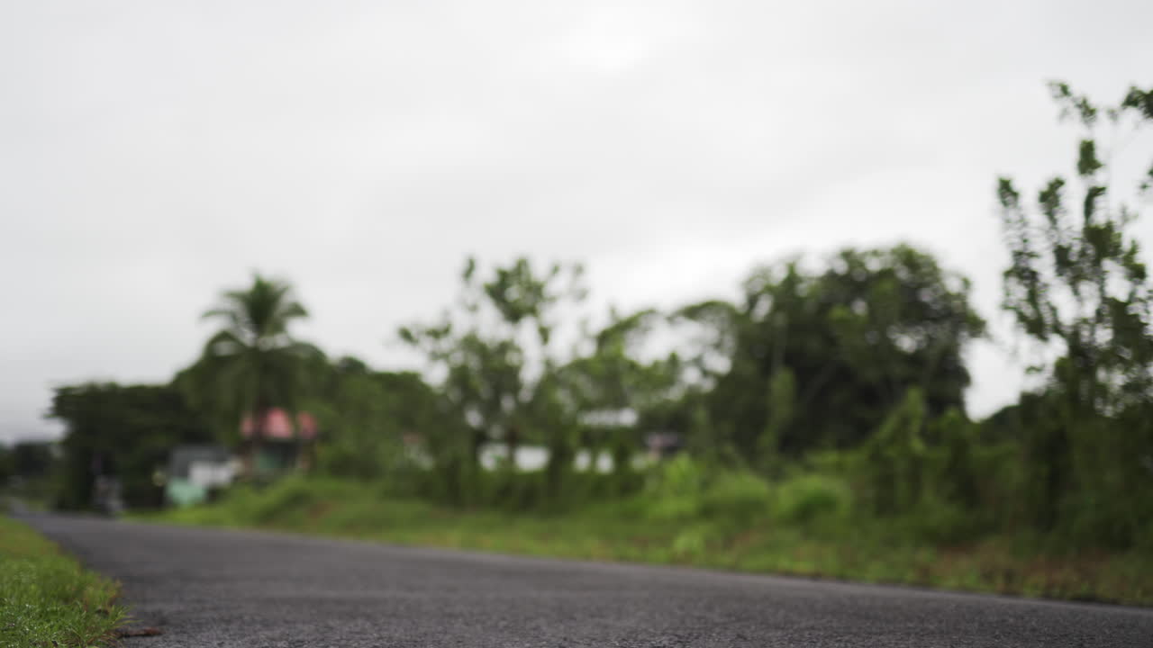 배낭 여행 코스타리카 중앙 아메리카 야생 열대 자연 열대 우림, 젊은 남성 백인 탐험가가 혼자 걷고 열대 낙원을 방문하고 발견합니다.