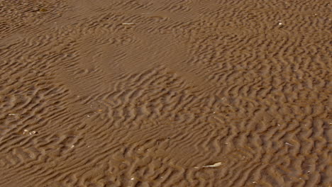 panning-aufnahme der nassen sandwellen an einem offenen strand in saltfleet, louth, lincolnshire