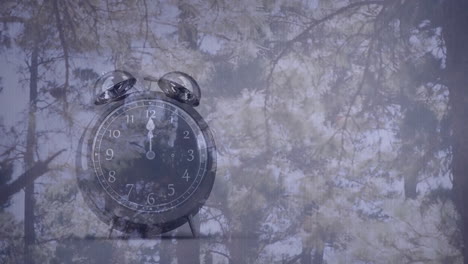 animación del reloj sonando sobre el bosque de abetos