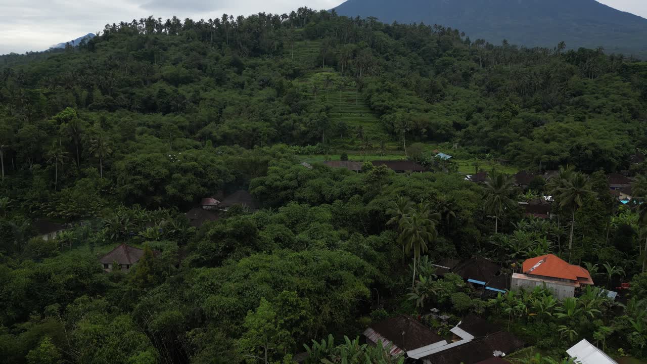 entorno de la selva con pájaros en bandadas volando en primer plano del monte agung en bali, aero
