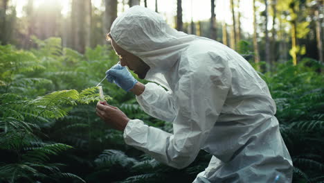 biologist collecting sample from plant