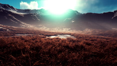 stones covered with grass and moss under bright sky of nepal