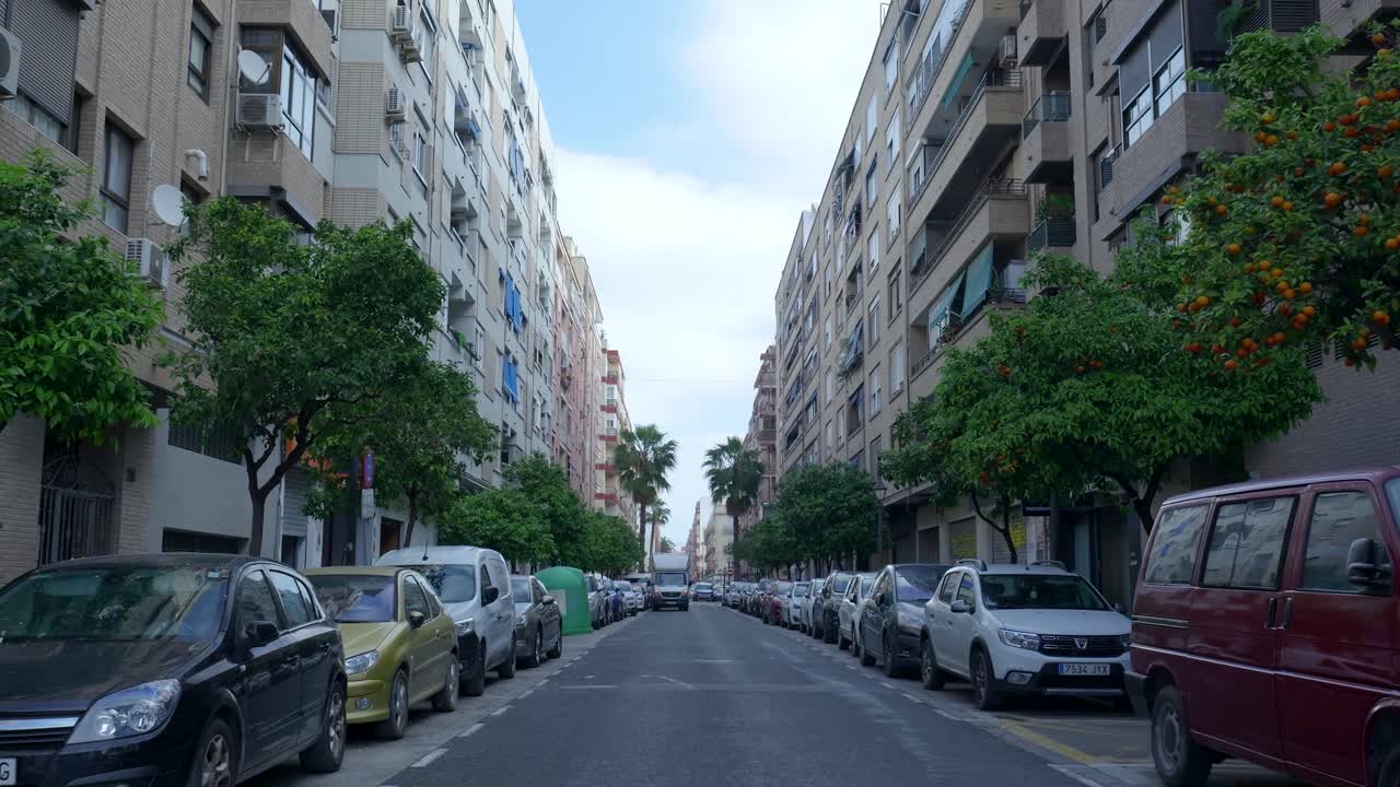 Street scene in a European city with orange trees