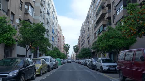 Street scene in a European city with orange trees