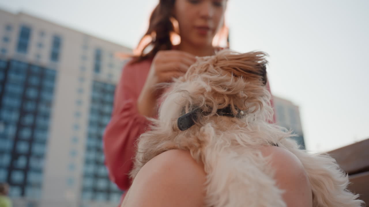 Caucasian Woman Training Small Puppy On Lap, Reward Treat Used For Obedience, Focused Attentive Dog, Urban Bench Backdrop, Gestural Commands, Playful Training Session, Patient Positive Reinforcement